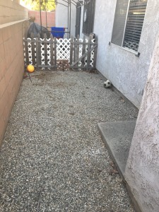 Back Patio